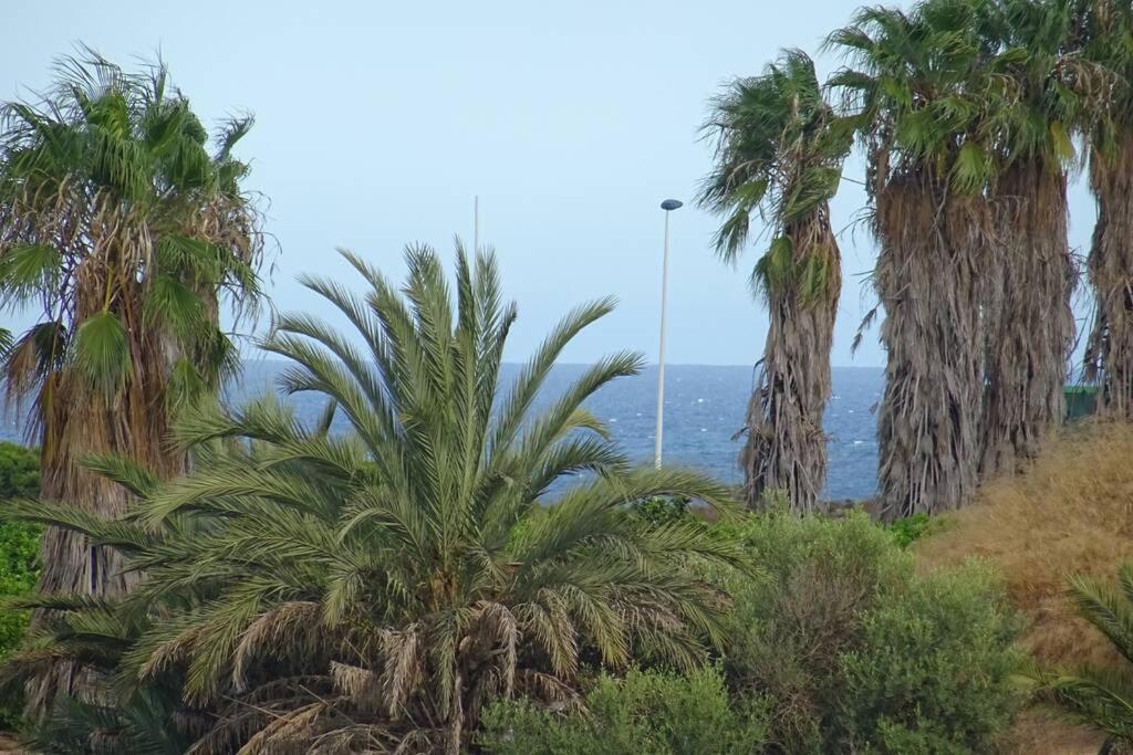 Casa Los Altos Torrevieja - Orihuela Costa Βίλα Εξωτερικό φωτογραφία